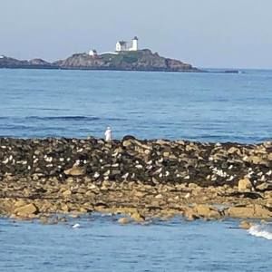 Meet your Posher, Jami